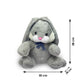 Stuffed Animal Bunny Soft Toy