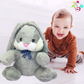 Stuffed Animal Bunny Soft Toy